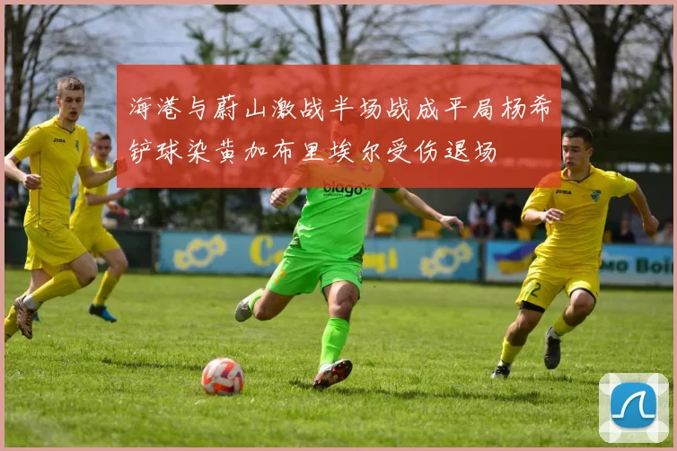 海港与蔚山激战半场战成平局杨希铲球染黄加布里埃尔受伤退场